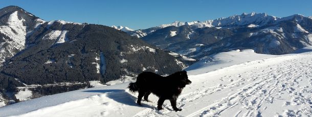 General information about your stay at Haus Wilhelmina