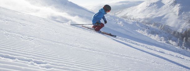 Information about the ski resort Vemdalsskalet