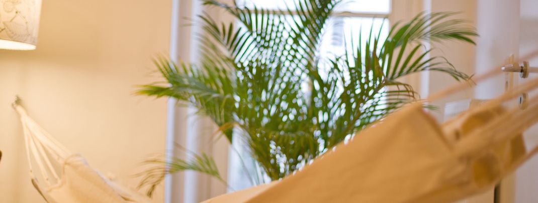 General information about your stay at Appartement-INNS´bruck