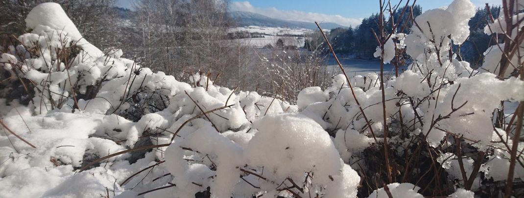 General information about your stay at Mühl-Fun-Viertel Grenzlandcamp Klaffer