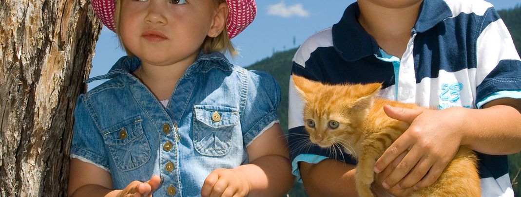 General information about your stay at Lettengut