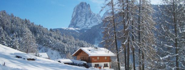 Cesa Larjei im Winter