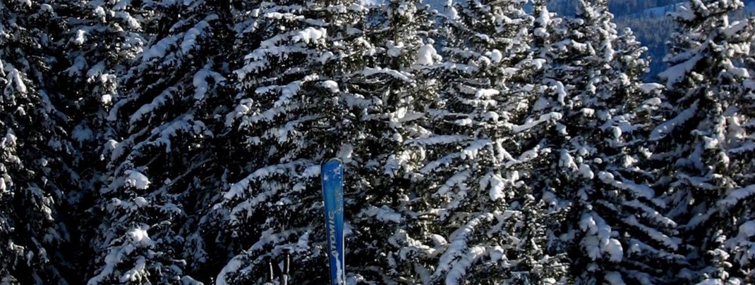 General information about your stay at Tannenhäusel