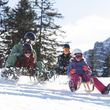 Information about the ski resort Serlesbahnen Mieders