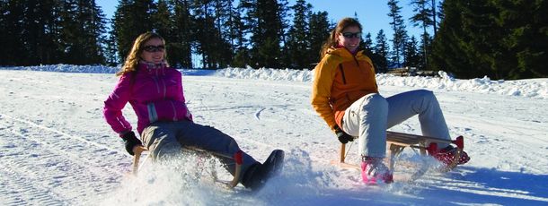 Information about the ski resort Arber