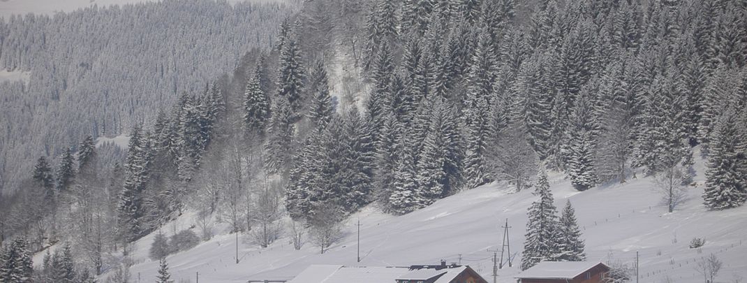 General information about your stay at Bergbauernhof Weber