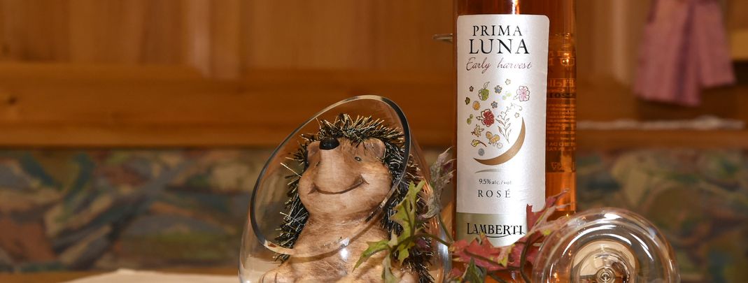 General information about your stay at Privatzimmer Spiss W.