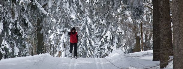 Information on Cross-Country Skiing at Waldkirchen Oberfrauenwald