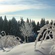 Winterlandschaft