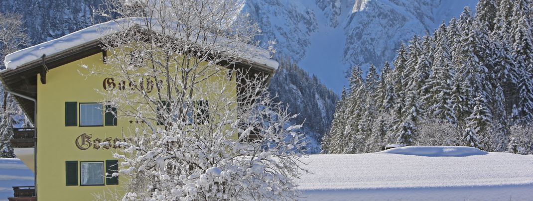 General information about your stay at Gosauschmied