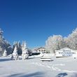 General information about your stay at Hotel Winterberg Resort