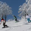 A large variety of runs prvides snowsport fun for everyone.