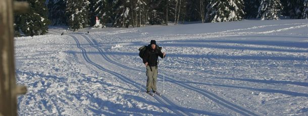 44 Loipenkilometer verlaufen rund um St. Andreasberg.