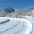 Information on Cross-Country Skiing at Kreuth