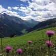Sommer im Tuxertal