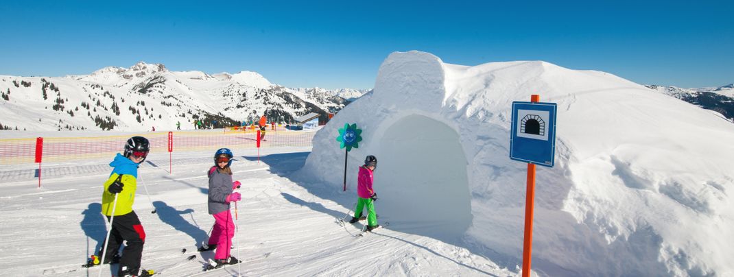 Review about Dorfgastein Grossarltal - Category: Beginner