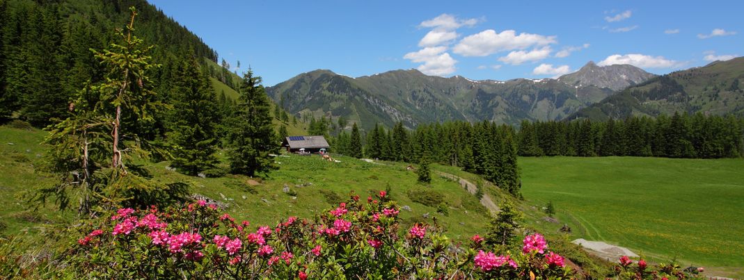 Detaillierte Infos zur Unterkunft Landhaus Huber