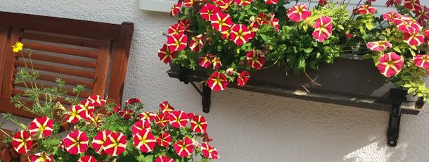 General information about your stay at Landhaus Bergidyll