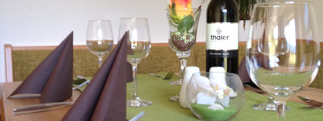 Detaillierte Infos zur Unterkunft Appartement Haus Panorama