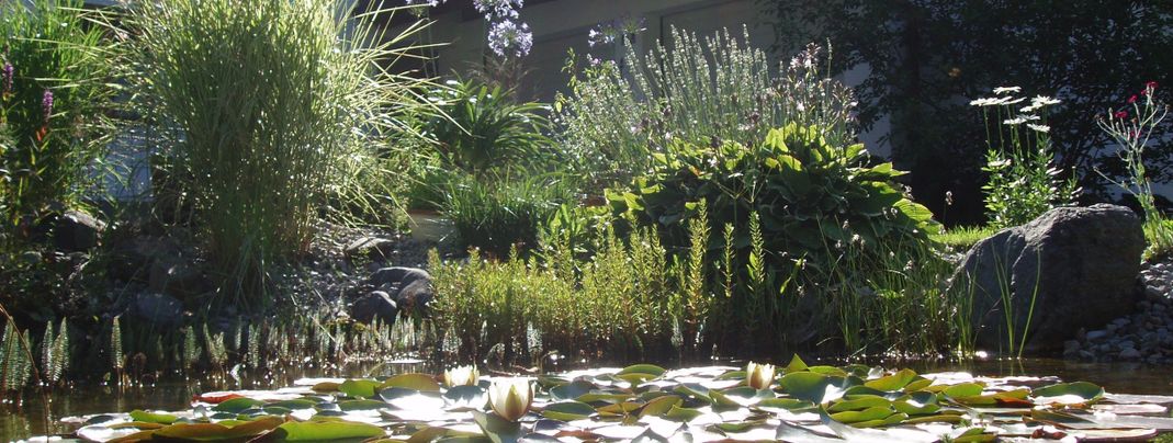 General information about your stay at Fewo Irmgard Fritsch