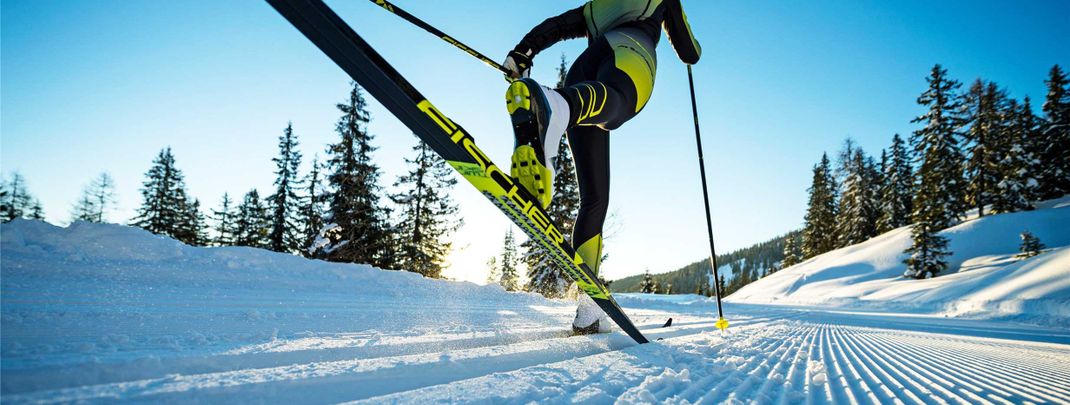 There are different cross-country skis in different price ranges.