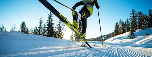 There are different cross-country skis in different price ranges.