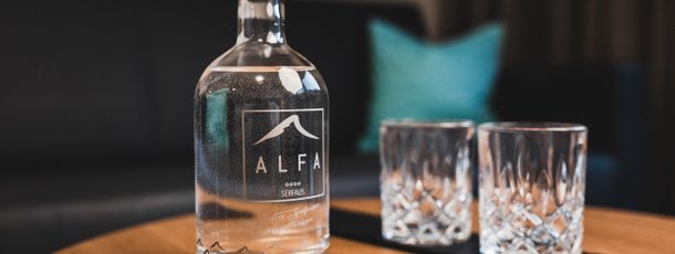 Detaillierte Infos zur Unterkunft ALFA Hotel