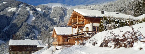 Detaillierte Infos zur Unterkunft Almliesl ZELL-365