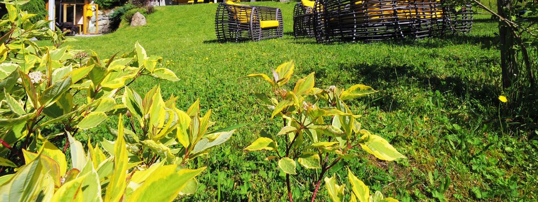 General information about your stay at Sport- und Vitalhotel Bachmann