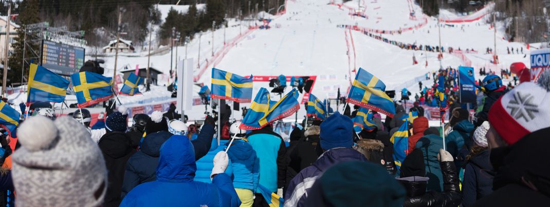 The large Race Arena with stands