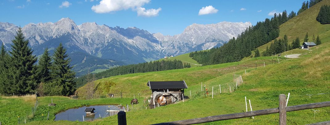 Detaillierte Infos zur Unterkunft Almliesl MARI-271