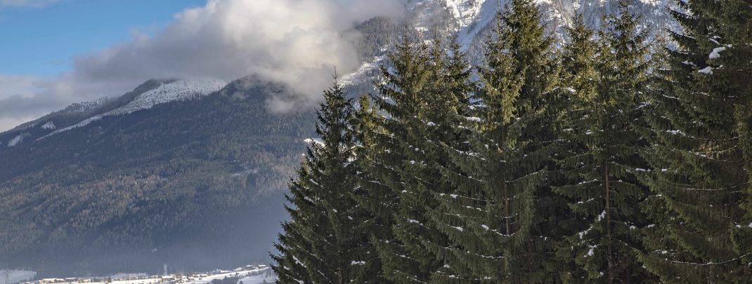 Detaillierte Infos zur Unterkunft Almliesl NEUK-467