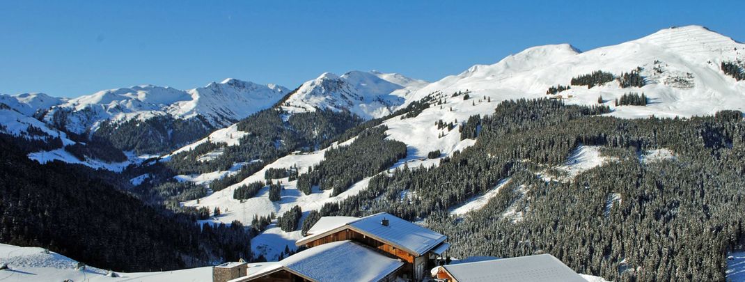 Detaillierte Infos zur Unterkunft Almliesl SAAB-492