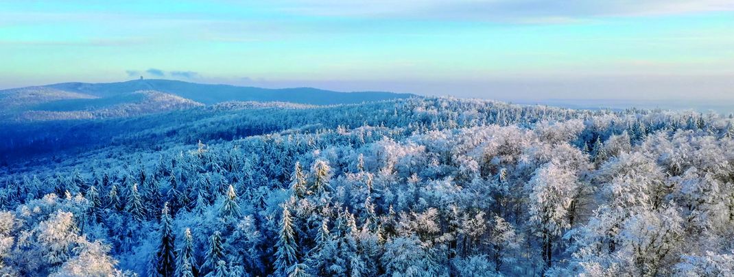 Ab zur Langlauf-Reise durch den Bayerischen Wald