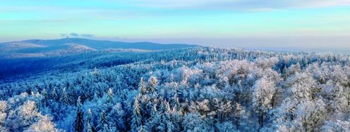 Ab zur Langlauf-Reise durch den Bayerischen Wald