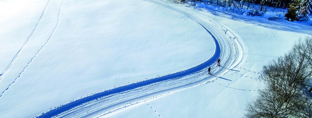 Mit dem neuen Loipenmanager bist du immer bestens informiert!