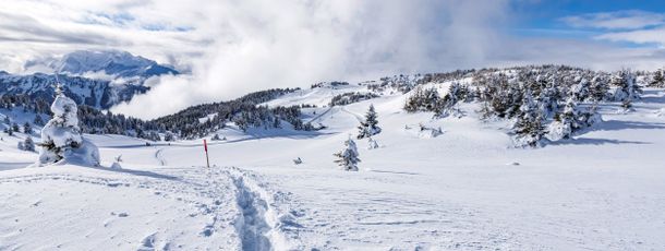 Information about the ski resort Feldis