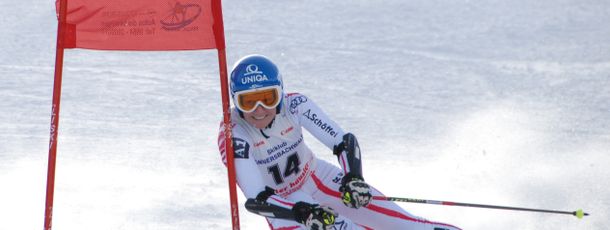 Information about the ski resort Riesneralm