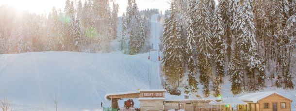 Detaillierte Infos zum Skiurlaub im Skigebiet Steg im Tösstal