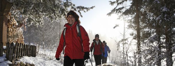 Information about the ski resort Skilift Friedenweiler