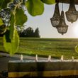 Detaillierte Infos zur Unterkunft Wellness & Naturresort Reischlhof****S