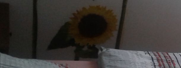 General information about your stay at Ferienwohnungen Fryba