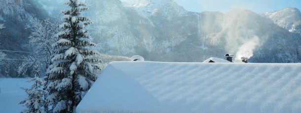 Good Morning Winter!