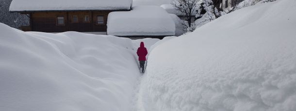 Information about the ski resort Obertilliach - Golzentipp