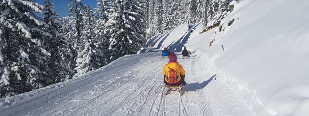 Information about the ski resort Breitenberg