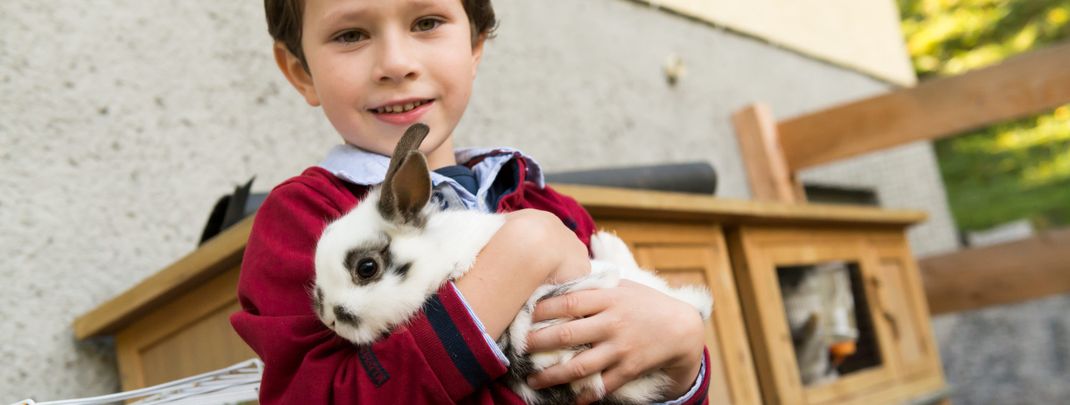 Detaillierte Infos zur Unterkunft Hotel Kristall