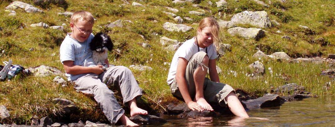 Detaillierte Infos zur Unterkunft Strohschein Almhütte