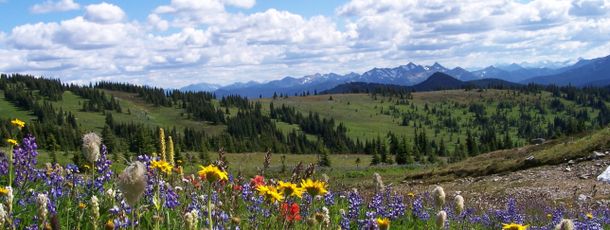 General information about your stay at Manning Park Resort