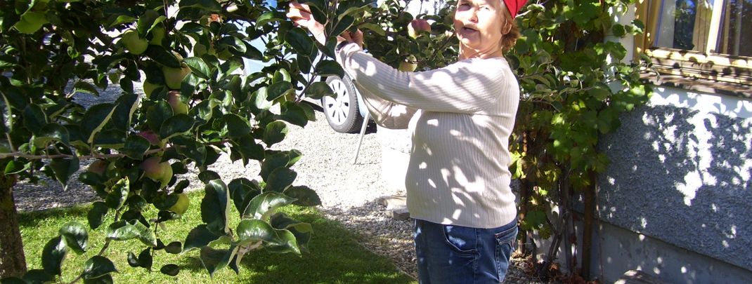 General information about your stay at Fewo Schäfer - Log Home