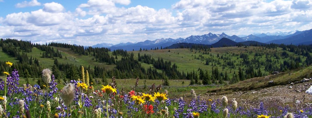 General information about your stay at Manning Park Resort